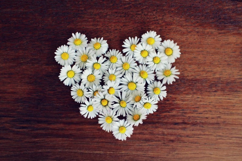 Heart-shaped hands